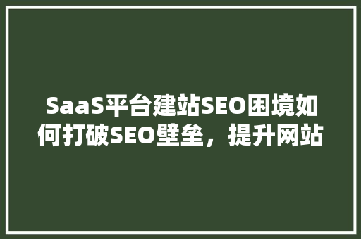 SaaS平台建站SEO困境如何打破SEO壁垒，提升网站流量