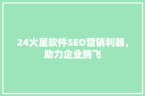 24火星软件SEO营销利器，助力企业腾飞
