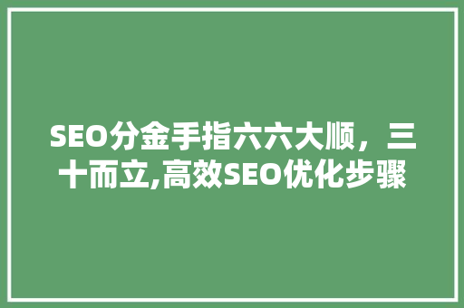 SEO分金手指六六大顺，三十而立,高效SEO优化步骤