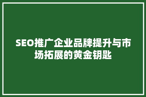 SEO推广企业品牌提升与市场拓展的黄金钥匙