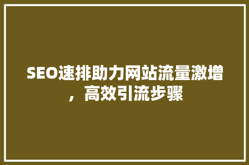 SEO速排助力网站流量激增，高效引流步骤