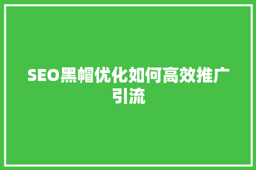 SEO黑帽优化如何高效推广引流