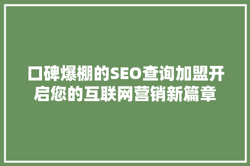 口碑爆棚的SEO查询加盟开启您的互联网营销新篇章