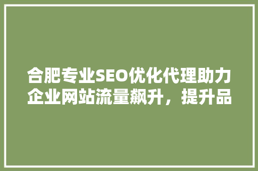 合肥专业SEO优化代理助力企业网站流量飙升，提升品牌竞争力