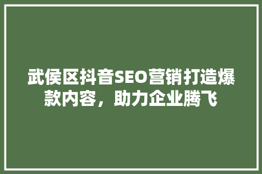 武侯区抖音SEO营销打造爆款内容，助力企业腾飞