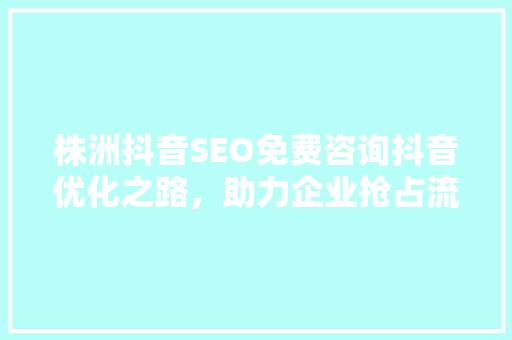 株洲抖音SEO免费咨询抖音优化之路，助力企业抢占流量高地