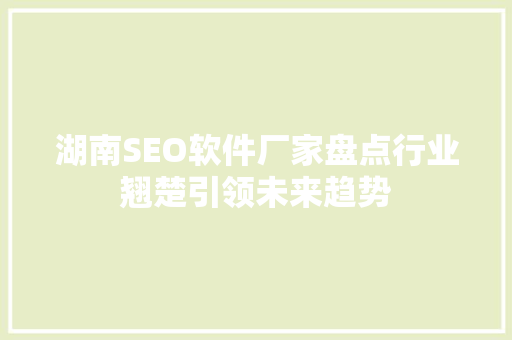 湖南SEO软件厂家盘点行业翘楚引领未来趋势
