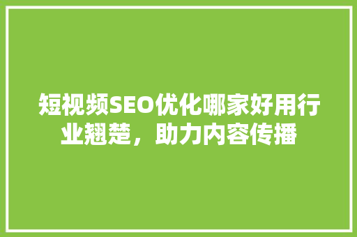 短视频SEO优化哪家好用行业翘楚，助力内容传播