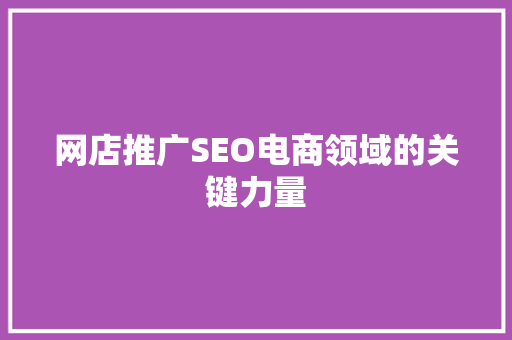 网店推广SEO电商领域的关键力量