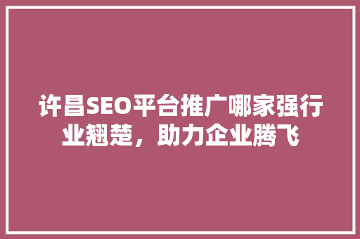 许昌SEO平台推广哪家强行业翘楚，助力企业腾飞