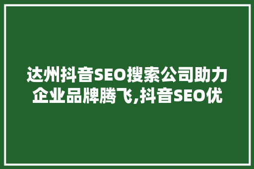 达州抖音SEO搜索公司助力企业品牌腾飞,抖音SEO优化之路