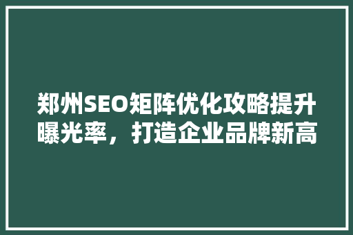 郑州SEO矩阵优化攻略提升曝光率，打造企业品牌新高度