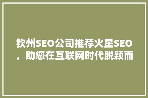 钦州SEO公司推荐火星SEO，助您在互联网时代脱颖而出