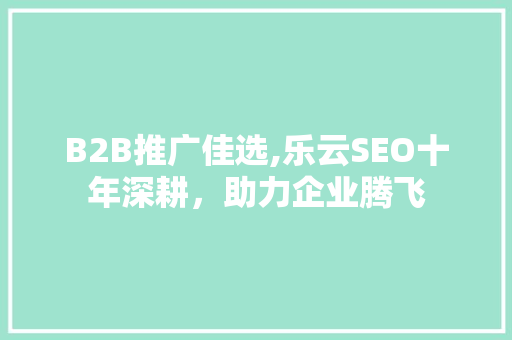 B2B推广佳选,乐云SEO十年深耕，助力企业腾飞