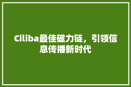 Ciliba最佳磁力链，引领信息传播新时代
