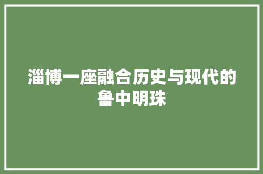 淄博一座融合历史与现代的鲁中明珠