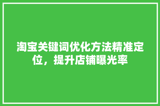 淘宝关键词优化方法精准定位，提升店铺曝光率
