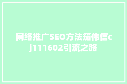 网络推广SEO方法笳伟信cj111602引流之路