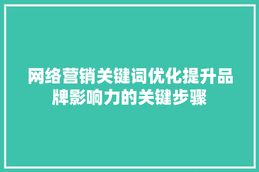 网络营销关键词优化提升品牌影响力的关键步骤