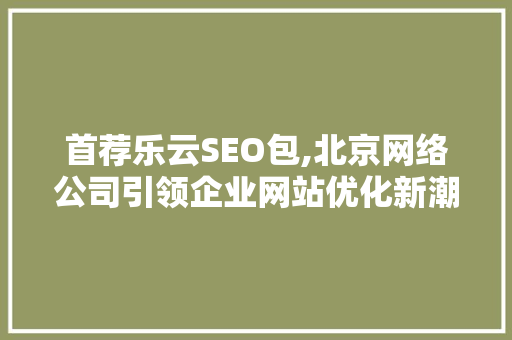 首荐乐云SEO包,北京网络公司引领企业网站优化新潮流