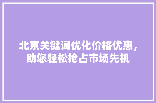 北京关键词优化价格优惠，助您轻松抢占市场先机