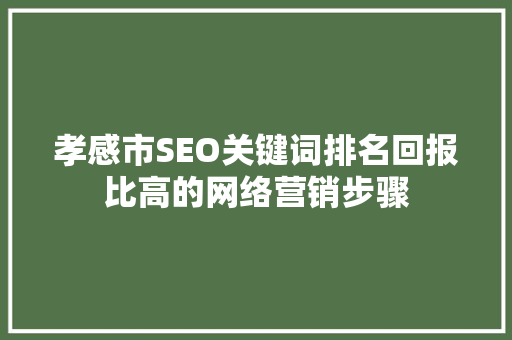 孝感市SEO关键词排名回报比高的网络营销步骤