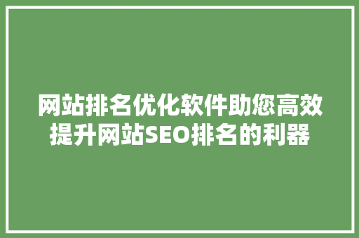 网站排名优化软件助您高效提升网站SEO排名的利器