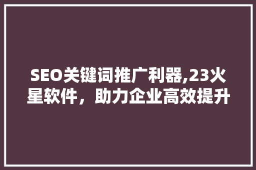 SEO关键词推广利器,23火星软件，助力企业高效提升网站排名