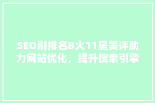 SEO刷排名B火11星美评助力网站优化，提升搜索引擎排名