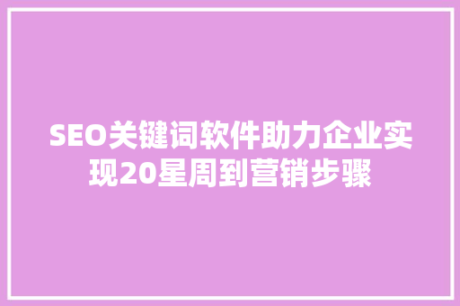 SEO关键词软件助力企业实现20星周到营销步骤