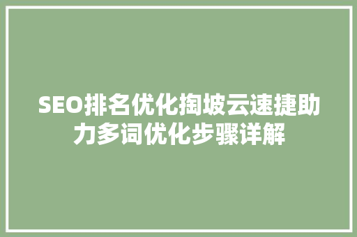 SEO排名优化掏坡云速捷助力多词优化步骤详解