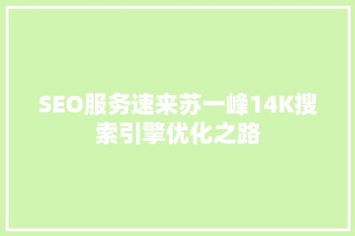 SEO服务速来苏一峰14K搜索引擎优化之路
