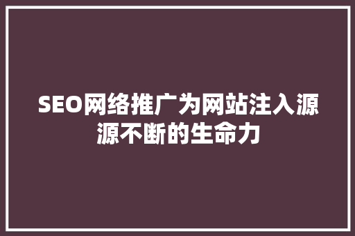 SEO网络推广为网站注入源源不断的生命力