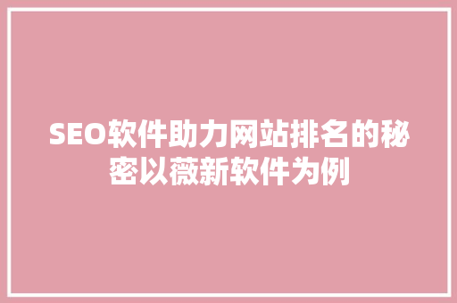 SEO软件助力网站排名的秘密以薇新软件为例