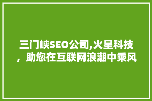 三门峡SEO公司,火星科技，助您在互联网浪潮中乘风破浪