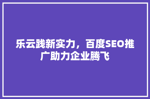 乐云践新实力，百度SEO推广助力企业腾飞