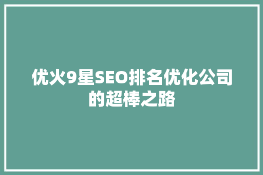 优火9星SEO排名优化公司的超棒之路