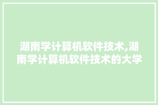 湖南学计算机软件技术,湖南学计算机软件技术的大学。 软件技术