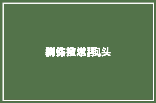 狗头
软件技术,狗头
制作全过程。 软件技术
