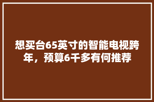 想买台65英寸的智能电视跨年，预算6千多有何推荐 人工智能