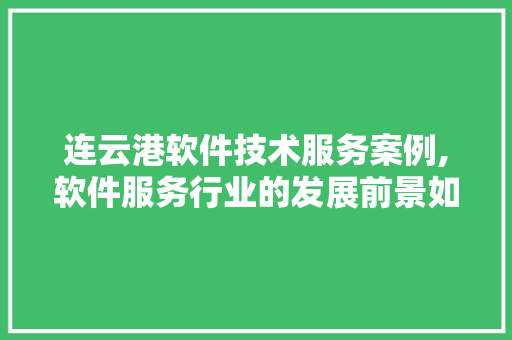 连云港软件技术服务案例,软件服务行业的发展前景如何。 软件技术