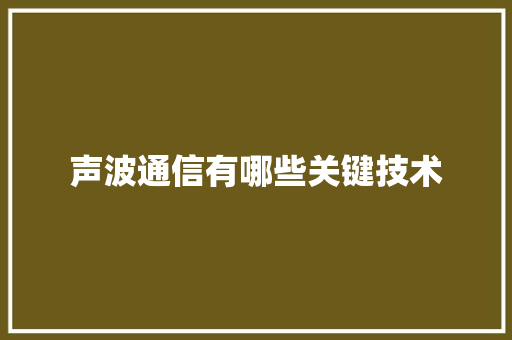 声波通信有哪些关键技术 人工智能