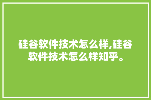 硅谷软件技术怎么样,硅谷软件技术怎么样知乎。 软件技术
