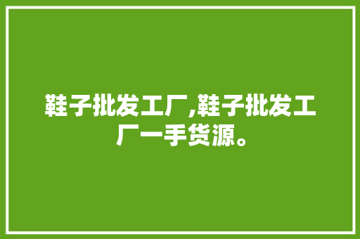 鞋子批发工厂,鞋子批发工厂一手货源。 智能科技