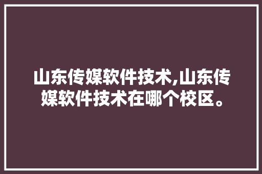 山东传媒软件技术,山东传媒软件技术在哪个校区。 软件技术