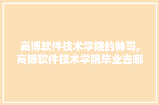 高博软件技术学院的帅哥,高博软件技术学院毕业去哪里工作。 软件技术