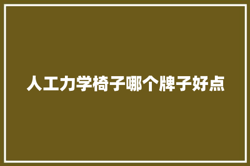 人工力学椅子哪个牌子好点 人工智能