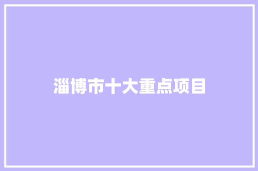 淄博市十大重点项目 人工智能