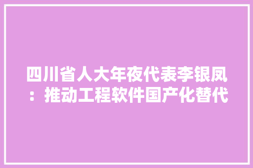 四川省人大年夜代表李银凤：推动工程软件国产化替代 应出台政策予以支持｜代表在这里 AI场景