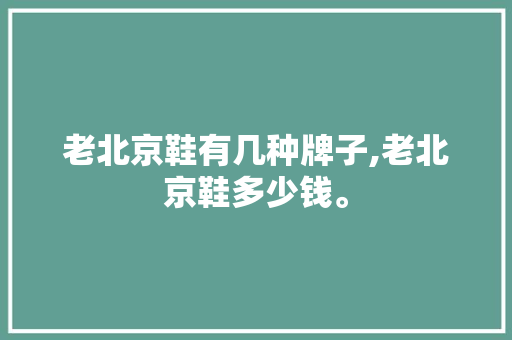 老北京鞋有几种牌子,老北京鞋多少钱。 智能科技